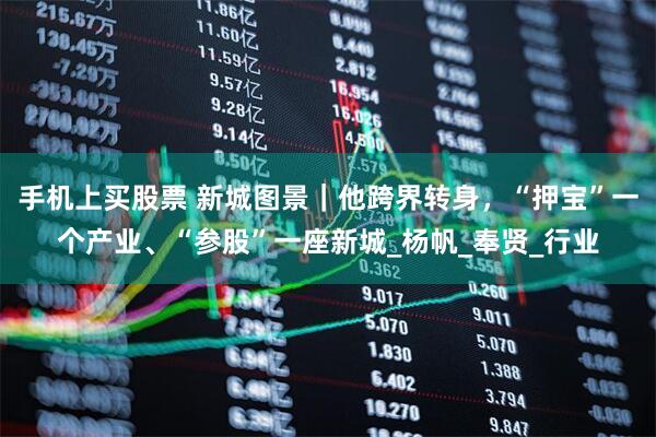 手机上买股票 新城图景｜他跨界转身，“押宝”一个产业、“参股”一座新城_杨帆_奉贤_行业