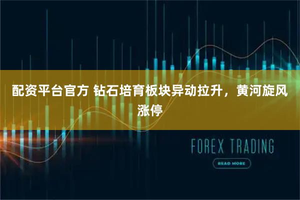 配资平台官方 钻石培育板块异动拉升，黄河旋风涨停